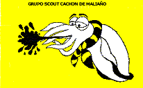 Cuarenta años de Grupo Scout Cachón de Maliaño