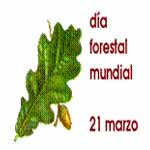 21 de marzo Día Forestal Mundial